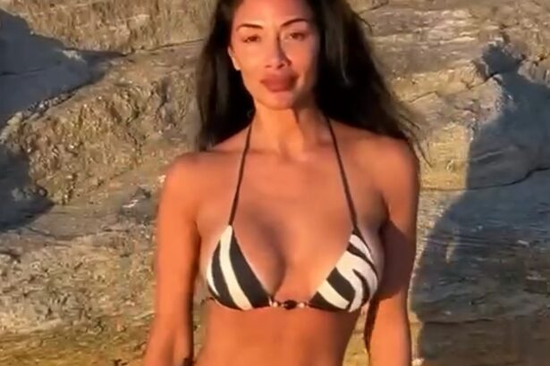 nicole scherzinger si a sarbatorit ziua de nastere in costum de baie vedeta a implinit 47 de ani 6863ec82c9274