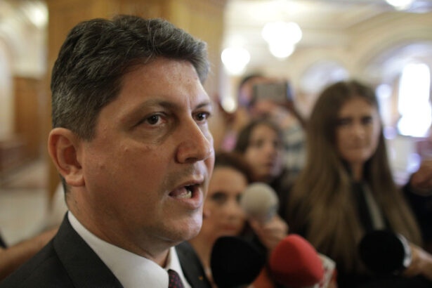 noi critici din interiorul psd nu mai suntem un partid viu ceea ce ne spune seful linia aia trebuie urmata 687b9e9ba8cd9