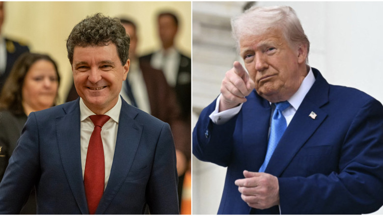 oana toiu merge in sua ca sa pregateasca intalnirea dintre nicusor dan si donald trump ce spune despre programul visa waiver 687d35bb00f24