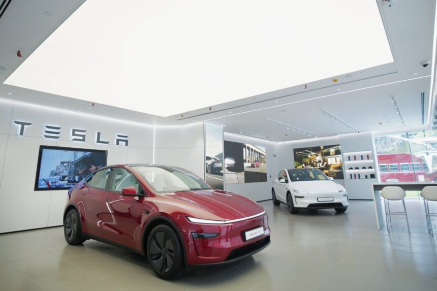 tesla loses its charm for indias loyalists even as musk finally delivers 687cf7783b227