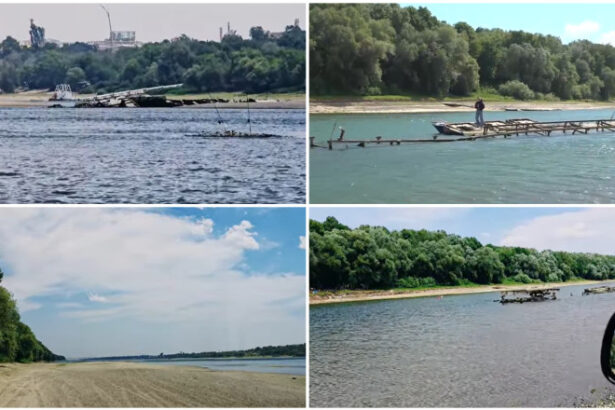 video dunarea scade periculos imagini spectaculoase cu epave germane din al doilea razboi mondial care ies la suprafata pe cursul fluviului 6872c3ae93a97
