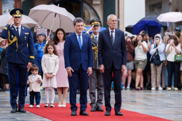video nicusor dan dupa vizita oficiala in austria o noua etapa a parteneriatului economic si diplomatic ce subiecte au fost discutate 68863dee04ab3