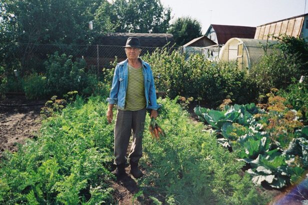 3 diet types may help reduce chronic disease risk in older adults 688e110ff02f1
