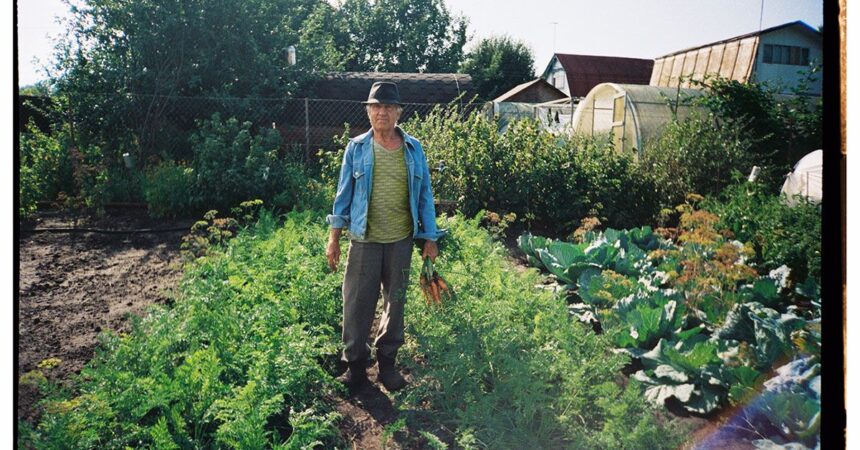 3 diet types may help reduce chronic disease risk in older adults 688e110ff02f1
