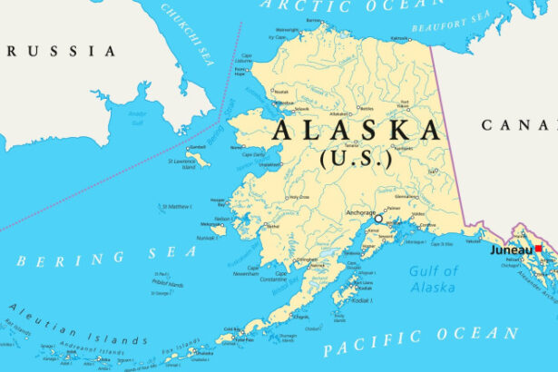 analiza strainii vor fi exclusi fara zelenski fara europa de ce a fost ales statul alaska pentru summitul dintre trump si putin 689786b39ddcf
