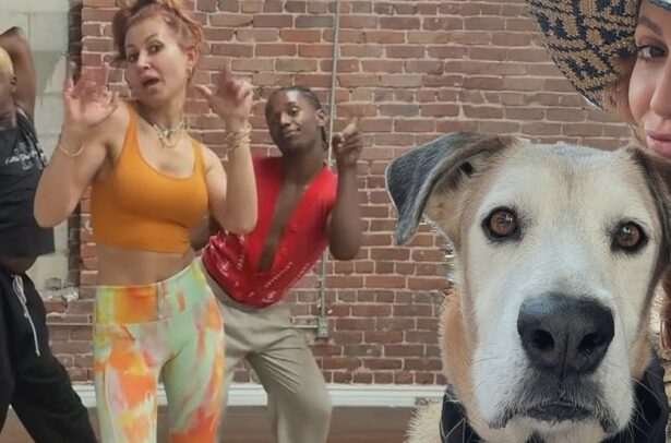 anamaria ferentz vine de urgenta in romania care este motivul vizitei artistei care traieste de ani buni in america atata pace nu am mai simtit niciodatasingura mea relaxare este 68a5b48ada7d2