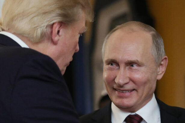 ce isi doreste vladimir putin sa obtina de la intalnirea cu donald trump 6895777a038a3