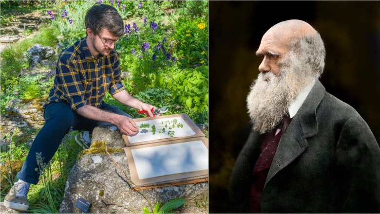 cel mai bun job din lumea naturala un colectionar de seminte va pleca intr o aventura in jurul lumii pe urmele lui charles darwin 688ee915e944a