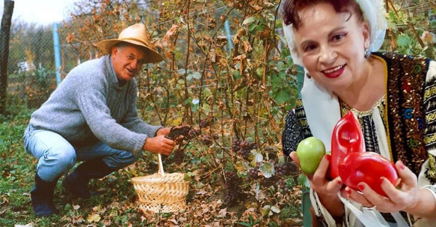 cum tine in frau gherghina stancu o boala grea nu m am culcat pe o ureche cum s ar fi vindecat insa total dorel visan planificare mentala 688dab87e0c4d