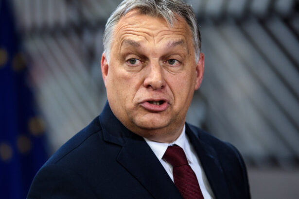 de ce nu a semnat ungaria declaratia ue privind sprijinul pentru ucraina in razboiul cu rusia explicatiile lui viktor orban 689b2a0835268
