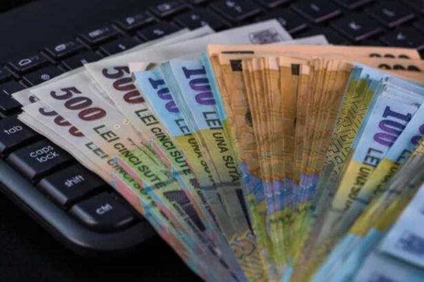descoperire uriasa in vrancea peste 23 000 de bancnote false in valoare de peste 4 milioane de euro 68adcc0131b17