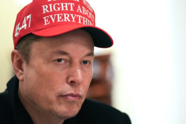 elon musk crede ca irlanda ar trebui sa paraseasca ue toate tarile ar trebui uniunea distruge democratia in europa 688f98d873c34