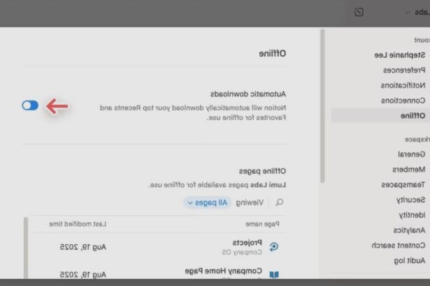 finally notion now works without an internet connection 68a5b04666007