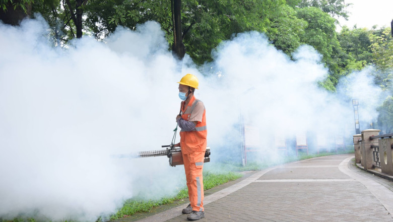 restrictii ca in pandemie in china un virus transmis de tantari se raspandeste rapid in provincia guangdong 6891cc926c1c4