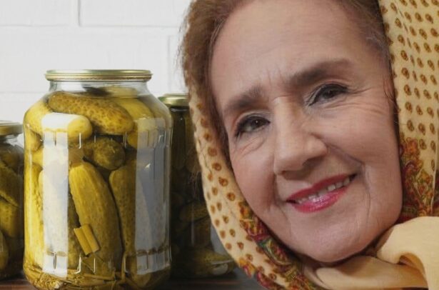 reteta de castraveti murati a sofiei vicoveanca pentru tinerele gospodine un deliciu ce pune in borcane ca sa nu se inmoaie muraturile 68a6fe210fbe5