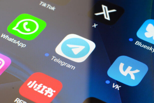 rusia a interzis partial apelurile prin whatsapp si telegram cum isi justifica autoritatile decizia 689cb3dca06ee