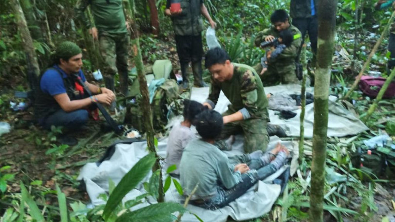 tatal copiilor care au supravietuit peste o luna singuri in jungla columbiana dupa un accident de avion condamnat pentru abuz