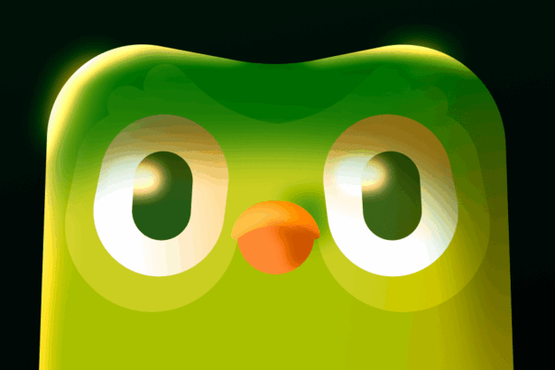 the backlash against duolingo going ai first didnt even matter 6894c7378c52d