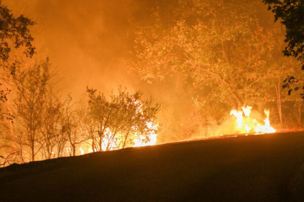 video franta se lupta cu cel mai puternic incendiu de vegetatie de anul acesta ard padurile in sud un mort si 9 raniti 68936d8a9ac00