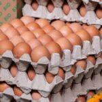 alerta alimentara oua bio retrase de pe rafturile a doua supermarketuri risc de salmonella 68cd5f52261ce
