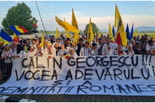 anca alexandrescu rechizitoriul lui calin georgescu nu contine nicio dovada se confirma ca alegerile au fost anulate fara motiv document 68c9c02dea3e1