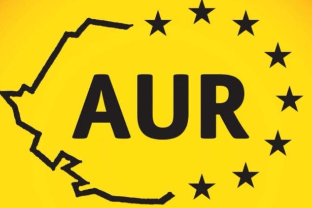 aur contesta la ccr proiectele guvernului bolojan si acuza puterea ca ignora vointa poporului 68be5a76a67a6