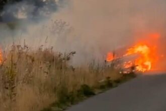 barbat retinut dupa ce a provocat un incendiu masiv de vegetatie intre bucuresti si ilfov motivul pentru care a recurs la acest gest i a lasat cu gura cascata pe politisti 68c81a4cb37ba