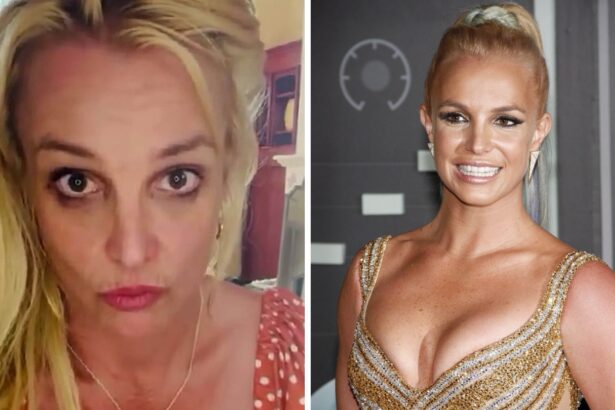 britney spears si a speriat fanii din nou ce a putut face in baia unui restaurant dupa ce a avut o intalnire nereusita 68bf32943ca07