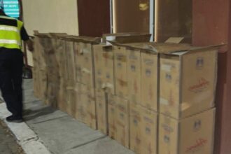 captura uriasa ascunsa printre obiecte de ceramica oamenii legii au descoperit peste 700 000 de tigari de contrabanda 68b98e691c842