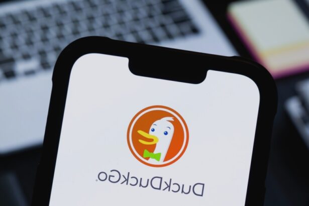 duckduckgo adds access to advanced models to it subscription plan 68b98017badb1