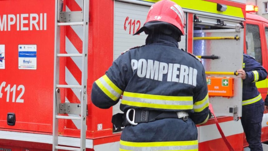 incendiu de proportii la gradina zoologica din bucuresti au ars peste 2 000 de metri patrati 11 autospeciale la fata locului 68c030fe1fb3b