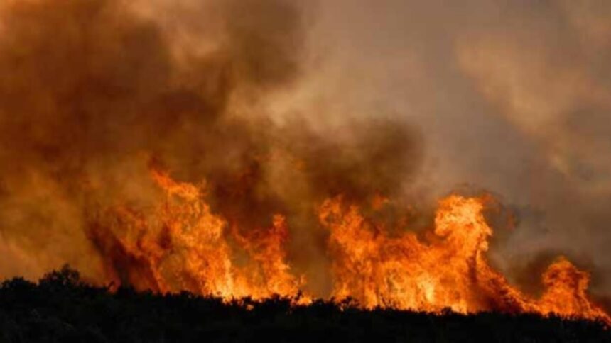 incendiu in prahova ard 80 de hectare de vegetatie langa ploiesti 68bc64b704f7c