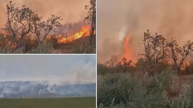 incendiu puternic de vegetatie uscata in buzau peste 15 hectare de teren au fost mistuite de flacari 68b9e19e2ef0b