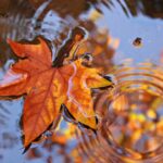 meteo 21 septembrie 2025 cum va fi vremea azi in tara 68cf7938839b6