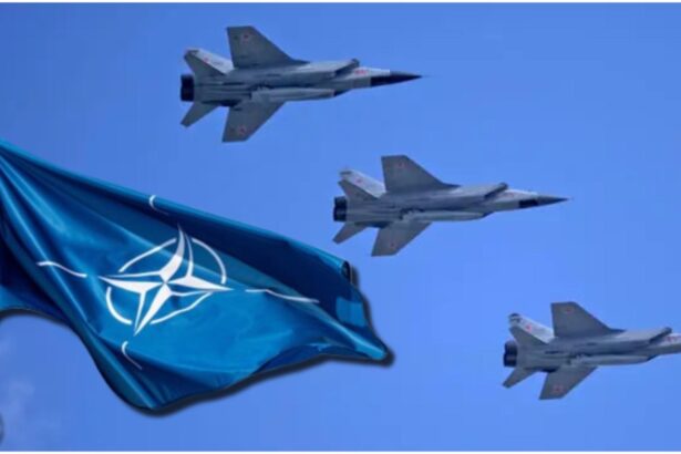 reactiile liderilor europeni dupa ce rusia a incalcat spatiul aerian al estoniei putin testeaza determinarea occidentului vom raspunde cu fermitate la fiecare provocare 68cd84a4434ed