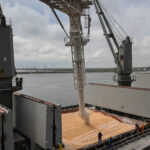 al dahra holding va pleca din comertul cu cereale din romania in 2026 cum a ajuns piata intr o lipsa totala de control 693af3da3b0b5