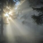 vreme de toamna de craciun cand vin primele ninsori anm a facut anuntul 693bb9e4a8bb0